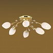 1604/6 ODEON LIGHT Люстра классика FIERA gold